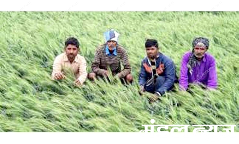 Farmers-amravati-mandal