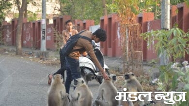 photo-caption-amravati-mandal