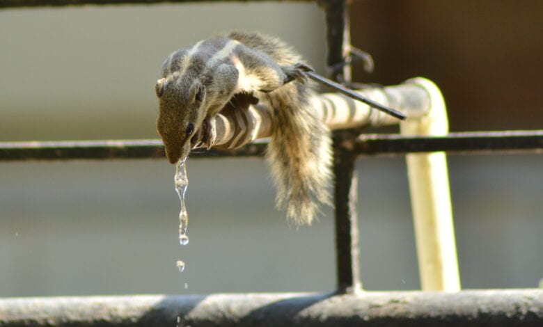 photo-caption-amravati-mandal