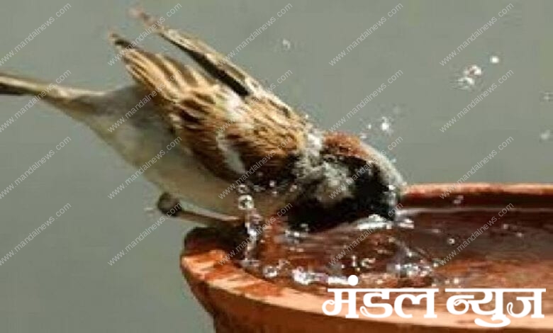 Birds-Amravati-Water-Amravati-Mandal copy