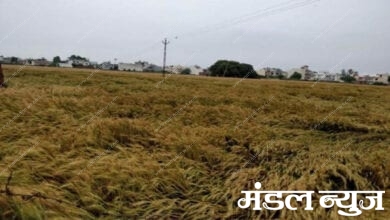 Farm-Amravati-Mandal