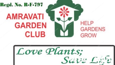 Garden-club-Amravati-Mandal