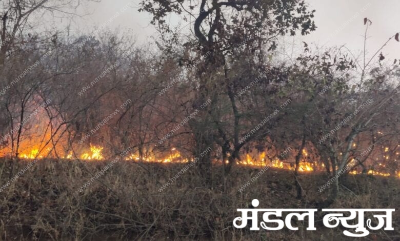Fire-Amravati-Mandal