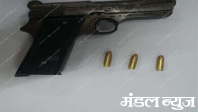 Pistol-Amravati-Mandal