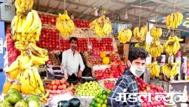 Fruit-Shops-amravati-mandal