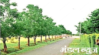 University-Amravati-Mandal