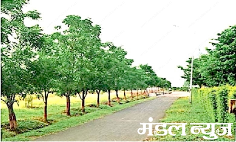 University-Amravati-Mandal