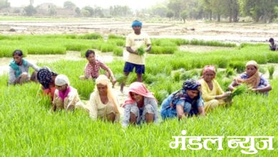 Farm-Laborer-amravati-mandal