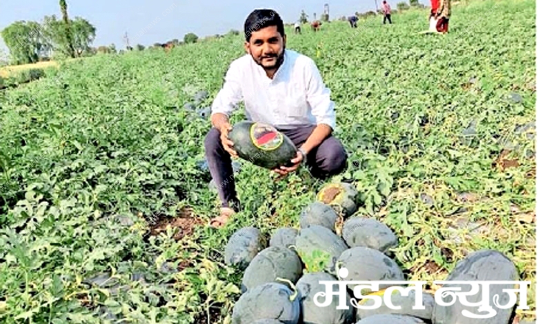 farming-of-watermelon-amravati-mandal