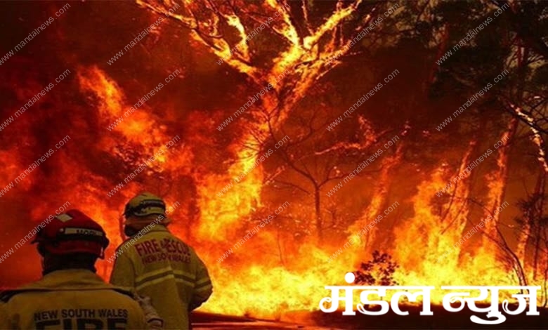 Fire-amravati-mandal