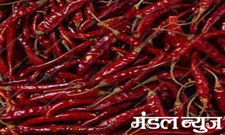 Chilli-Amravati-Mandal