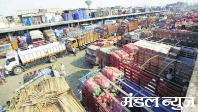 Cotton-Market-Amravati-Mandal