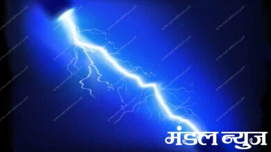 Electricity-Amravati-Mandal