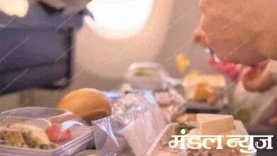 Flight-Food-Amravati-Mandal