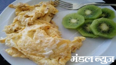 kivi-and-eggs-amravati-mandal
