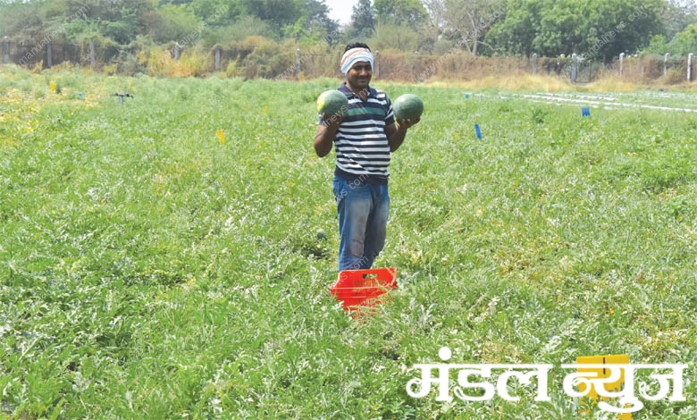 photo-caption-amravati-mandal