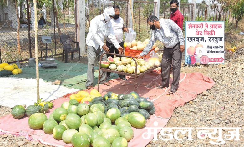 tarbuj-amravati-mandal