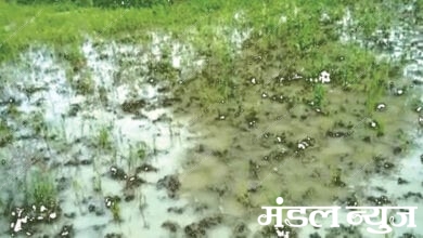 thunder-strom-amravati-mandal