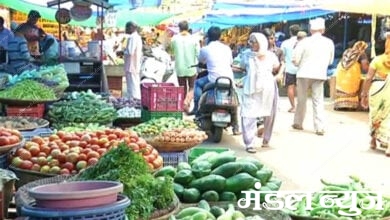 vegetables-amravati-mandal