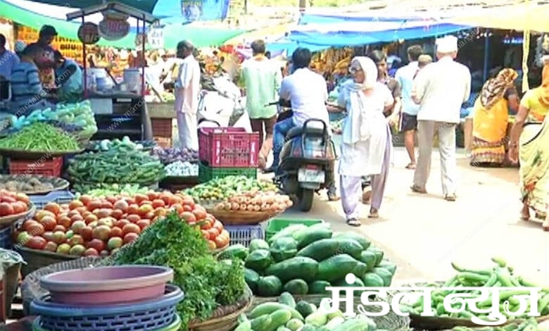 vegetables-amravati-mandal