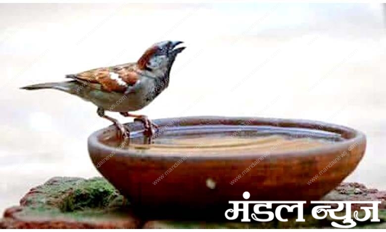 Birds-Water-Pot-amravati-mandal