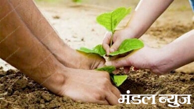 Environment-amravati-mandal