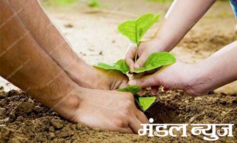 Environment-amravati-mandal