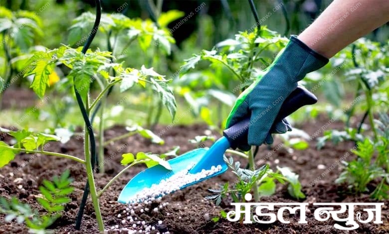 Fertilizers-amravati-mandal