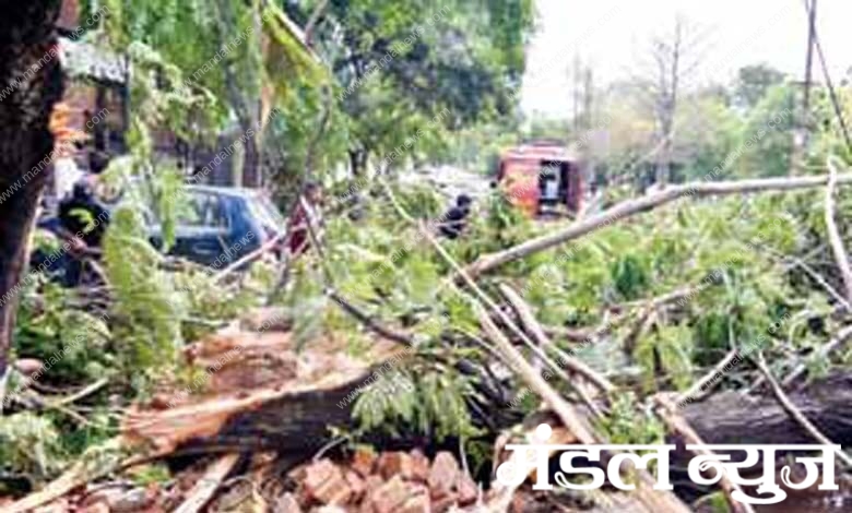 Yas-Storm-amravati-mandal