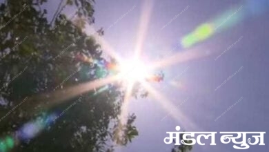 Summer-Amravati-Mandal