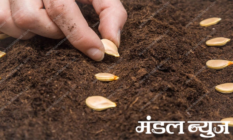 Fake-Seeds-Aravati-Mandal