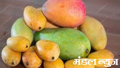 Mangos-Amravati-Mandal