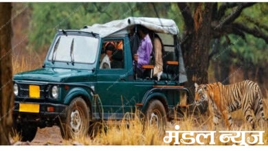 Safari-Amravati-Mandal