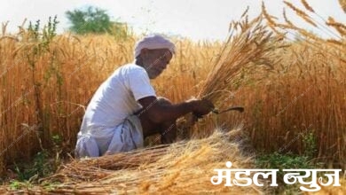 farmer-amravati-mandal