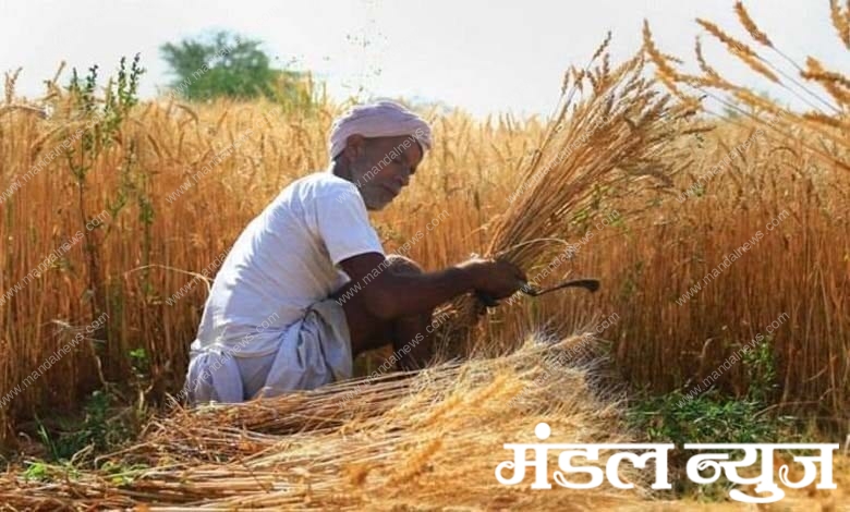 farmer-amravati-mandal