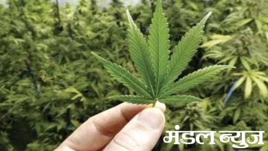 hemp-amravati-mandal