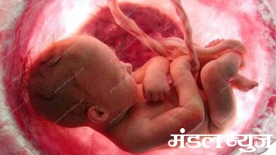 pregnant-women-amravati-mandal