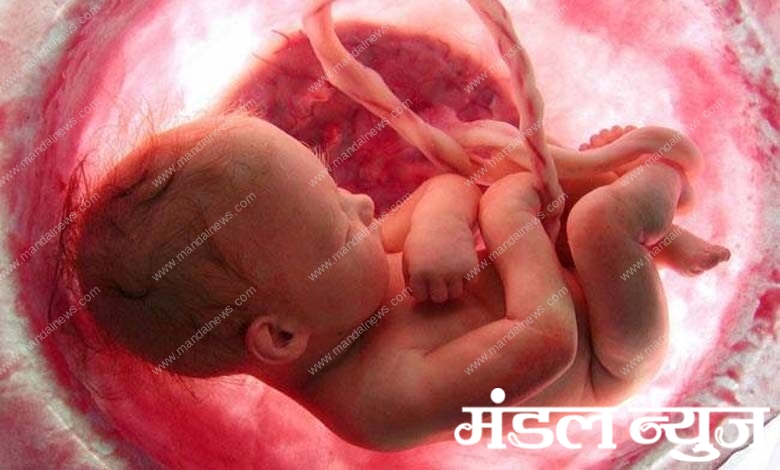 pregnant-women-amravati-mandal