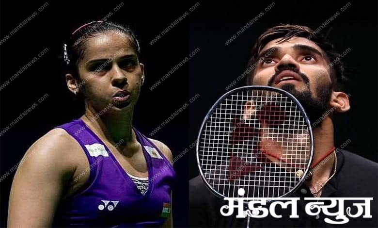 saina-shrikant-amravati-mandal