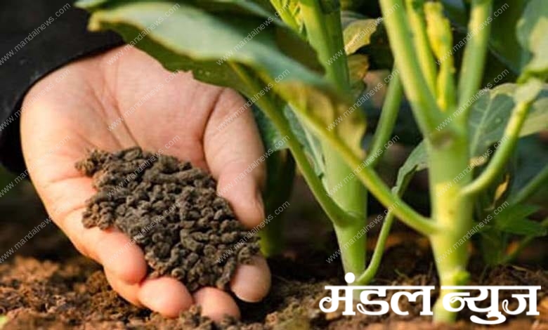 seed-amravati-manda