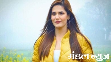 zareen-khan-amravati-mandal