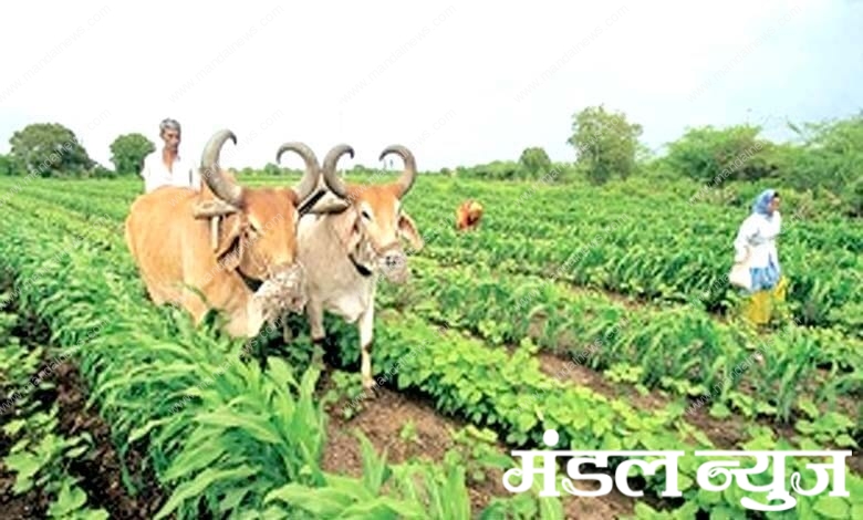 Farming-amravati-mandal