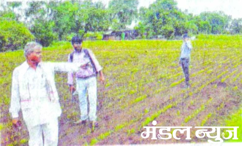 khet-amravati-mandal