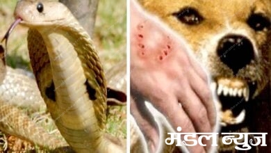 Snake-Bite-amravati-mandal