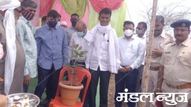 Tree-Planting-amravati-mandal