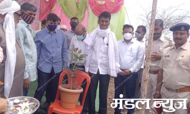 Tree-Planting-amravati-mandal