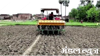 Sowing-amravati-mandal