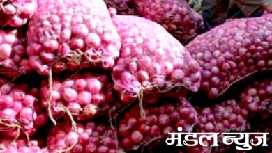 onions-amravati-mandal