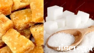 sugar-jaggery-amravati-mandal
