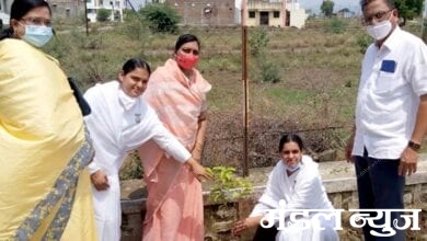 Tree-Planting-amravati-mandal